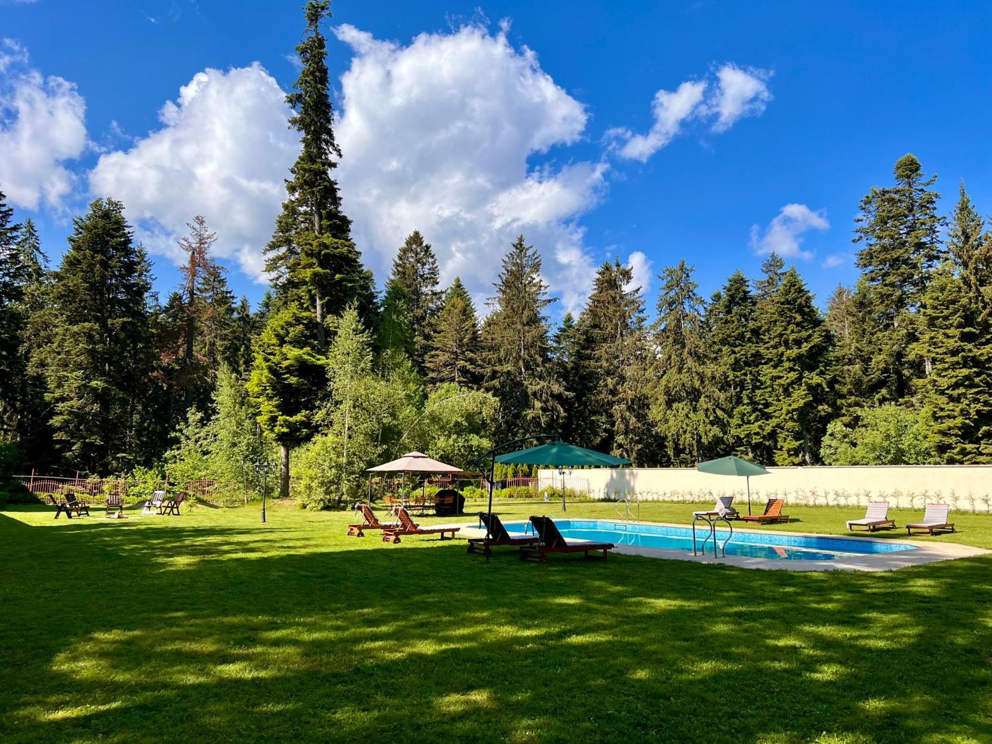 The Castle - Your Unique Way Of Retreat Borovets Eksteriør bilde